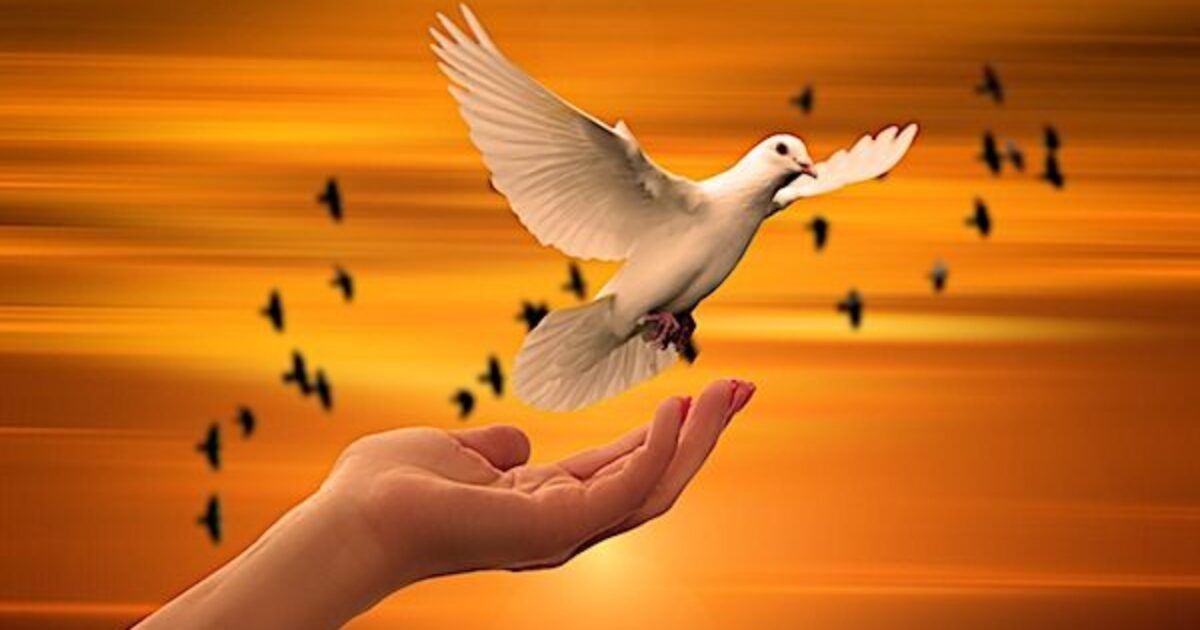 Pixabay