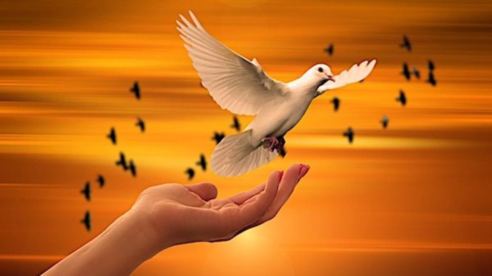 Pixabay
