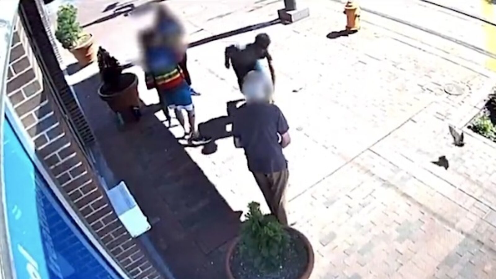 Video shows Patrick Brice charging into and tackling an elderly pro-life man in Baltimore, Maryland, in May 2023 (Video screenshot)